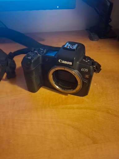 Location appareil photo hybride Canon EOS R Ă Paris
