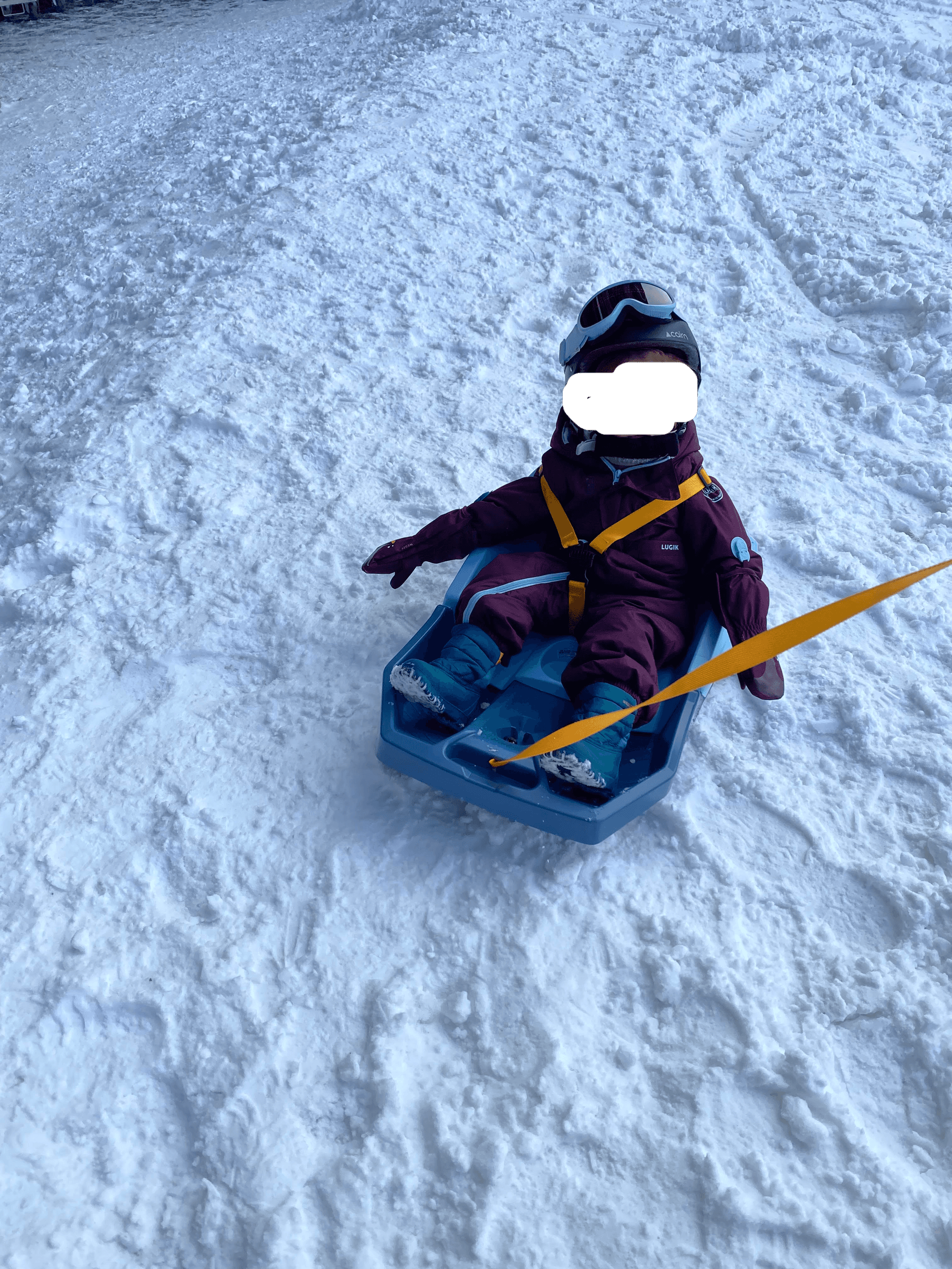 Luge enfant avec siège à louer à L'Haÿ-les-Roses