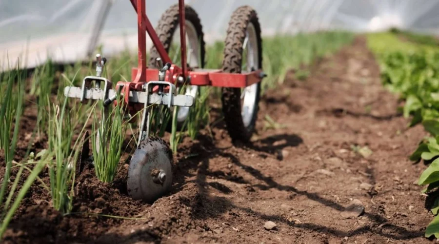 Guide Expert 2026 : Comment Choisir son Matériel Maraîchage Occasion Sans Se Tromper